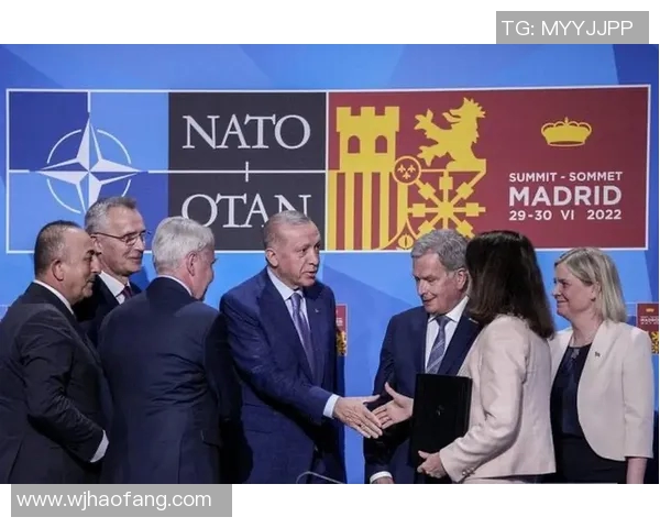 土耳其对瑞典精彩对决视频直播全程回放与赛后分析